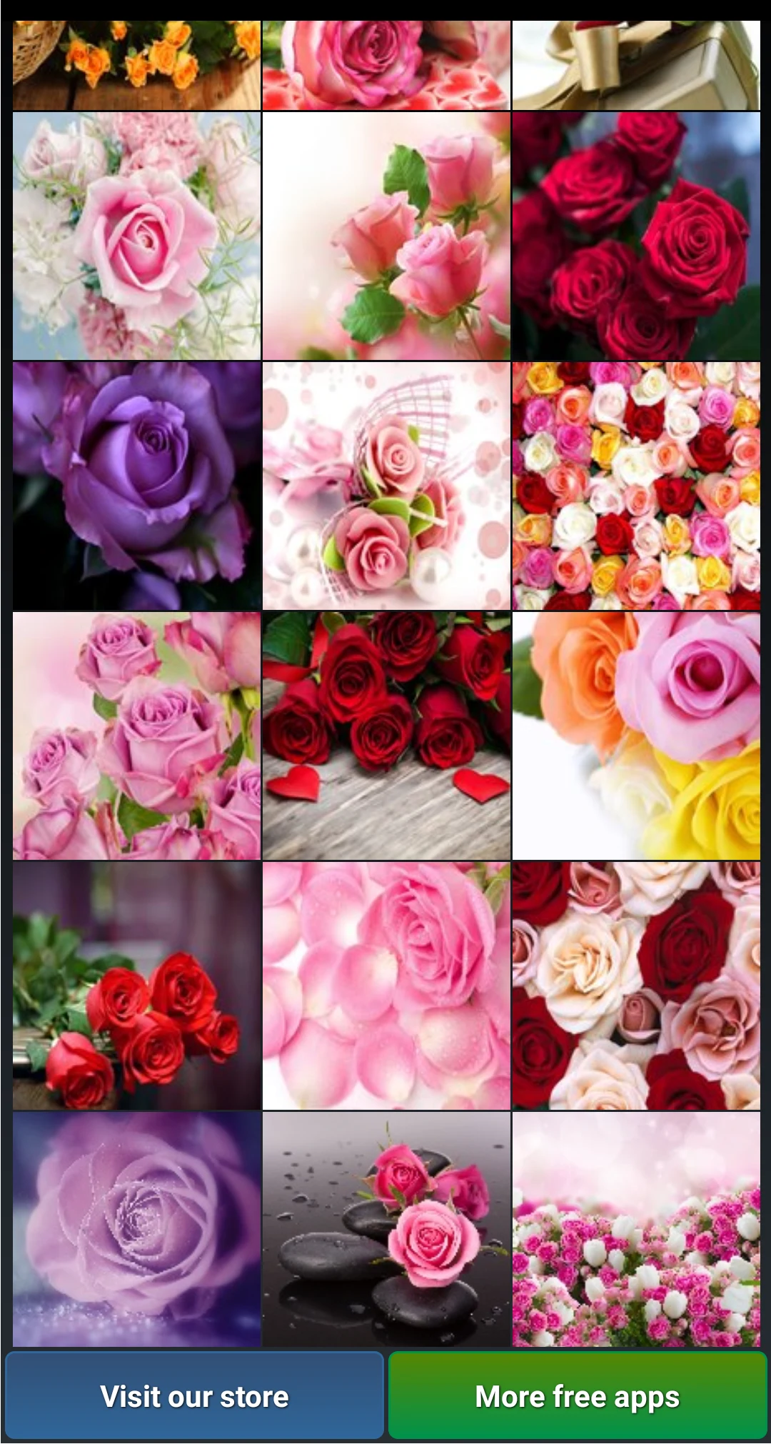 Beautiful Roses HD Wallpapers screenshot