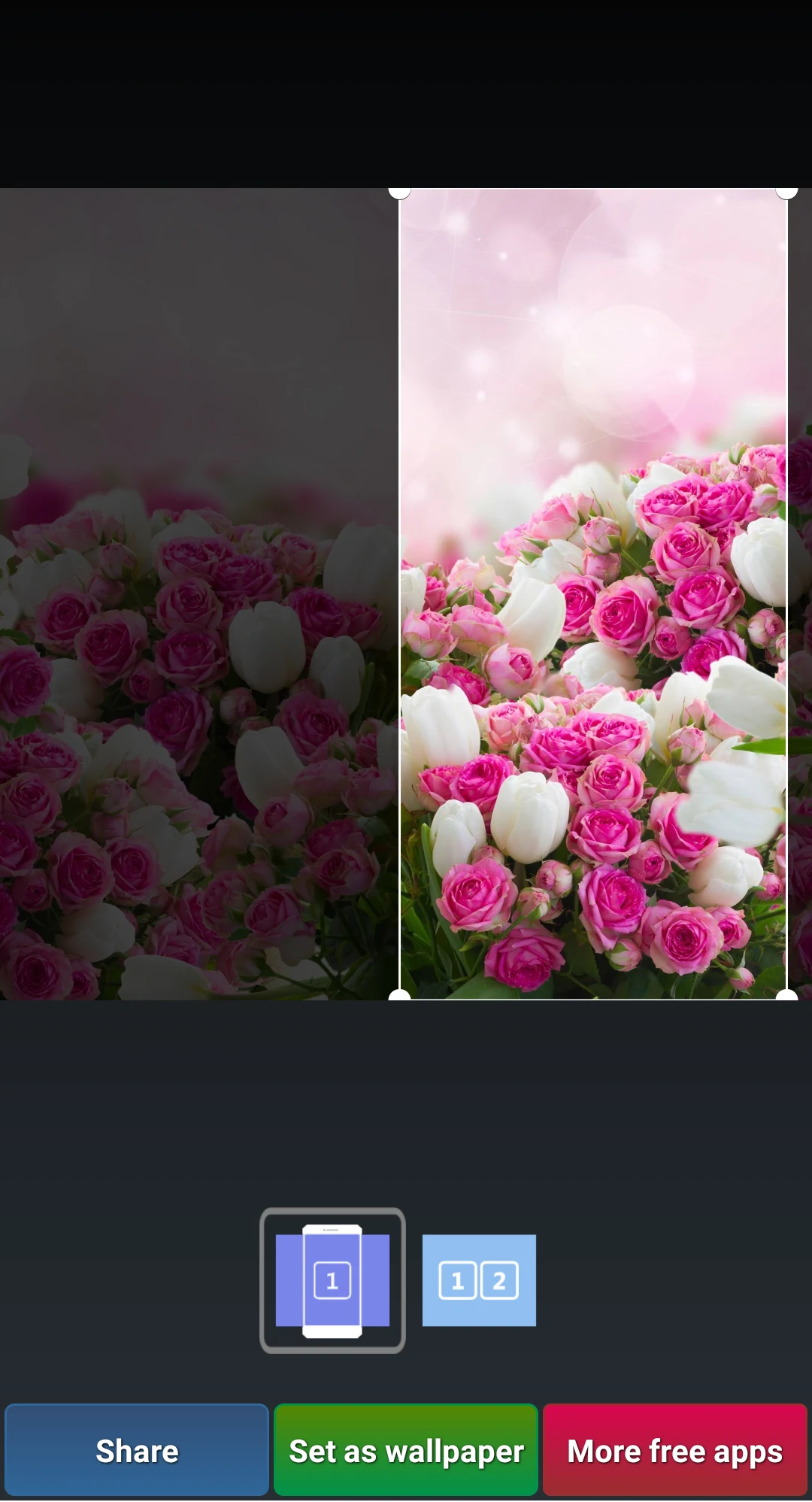 Beautiful Roses HD Wallpapers screenshot