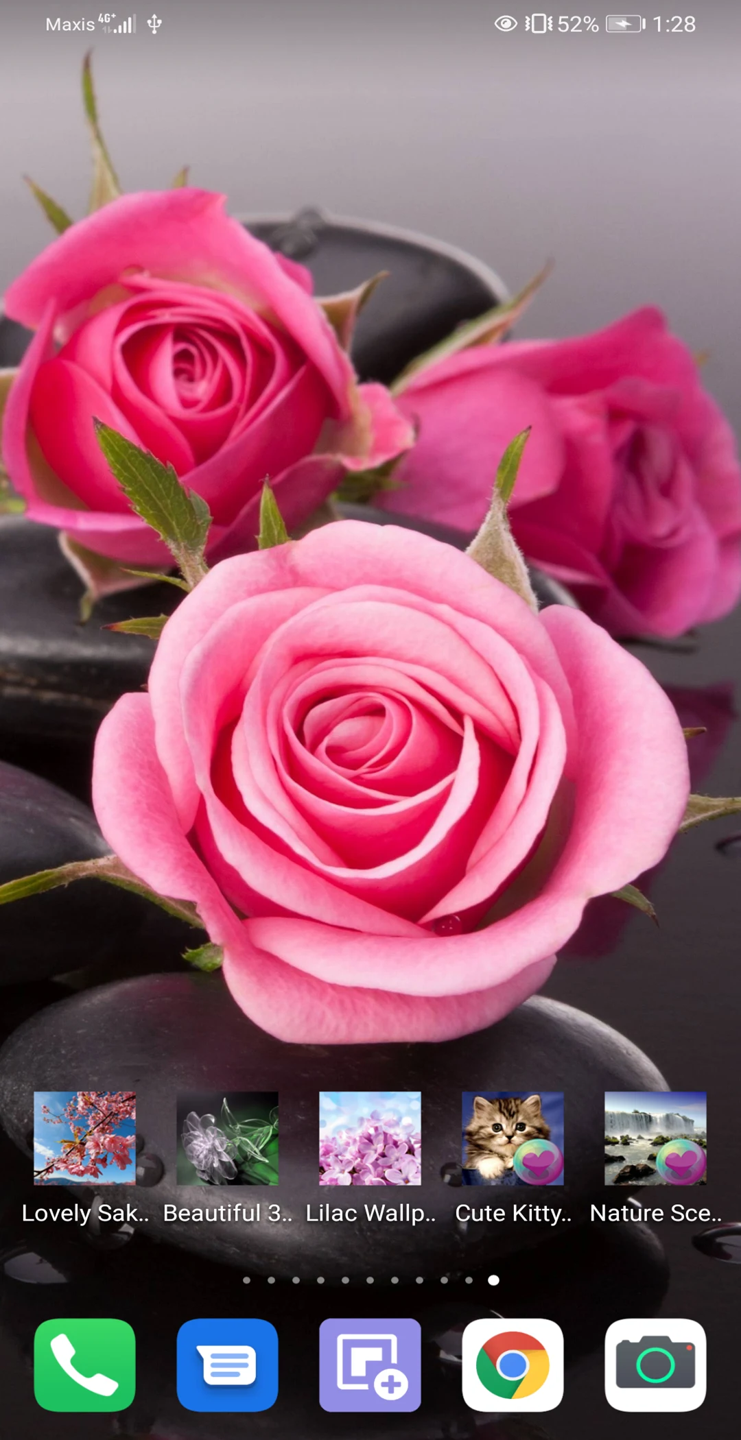 Beautiful Roses HD Wallpapers screenshot